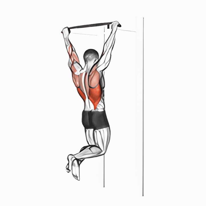 Pull-Up — back exercise demonstration