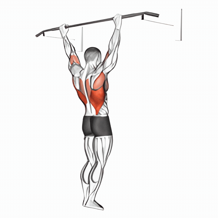 Wide Grip Rear Pull-Up — back exercise demonstration